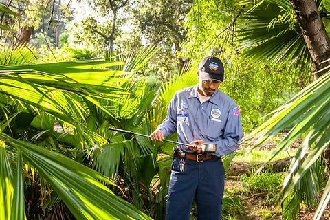 A person in a uniform is working in a lush, green area with palm leaves, using a handheld tool or device.