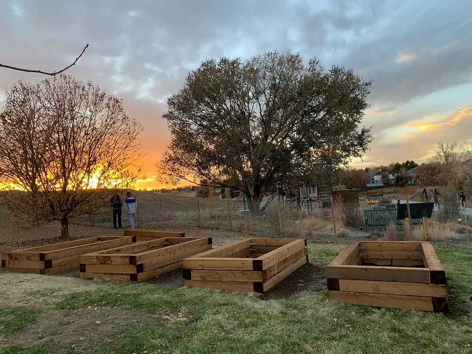 May contain: wood, hardwood, stained wood, person, car, transportation, and vehicle