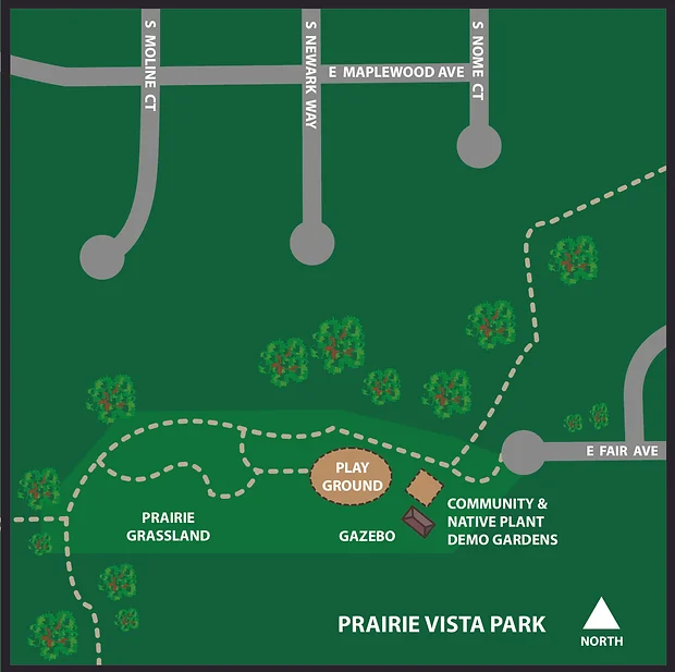 May contain: plant, vegetation, chart, plot, diagram, and plan