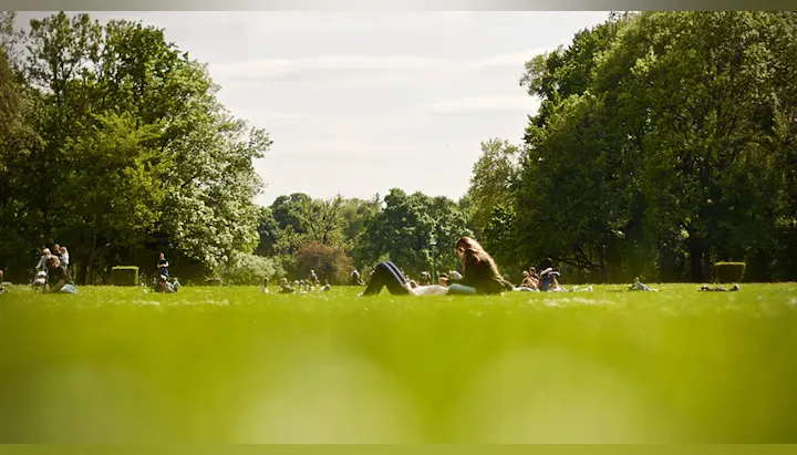 A sunlit park scene with people relaxing on the grass, surrounded by trees and enjoying a pleasant day outdoors.