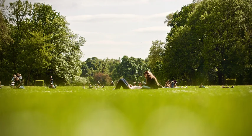 May contain: grass, plant, person, and fallen person