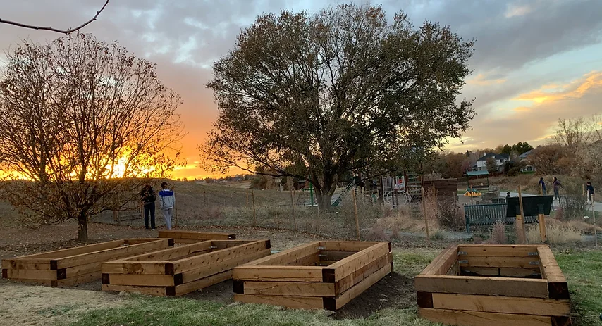 May contain: wood, hardwood, stained wood, person, and outdoors