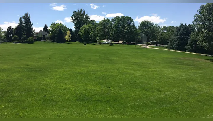 A lush green park with trees under a clear blue sky, perfect for outdoor activities and relaxation.