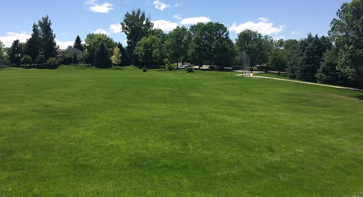 May contain: grass, plant, lawn, ground, nature, outdoors, and park