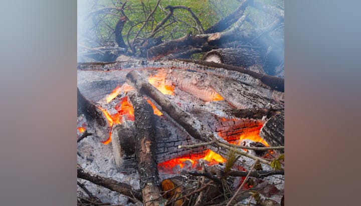 residential burn pile