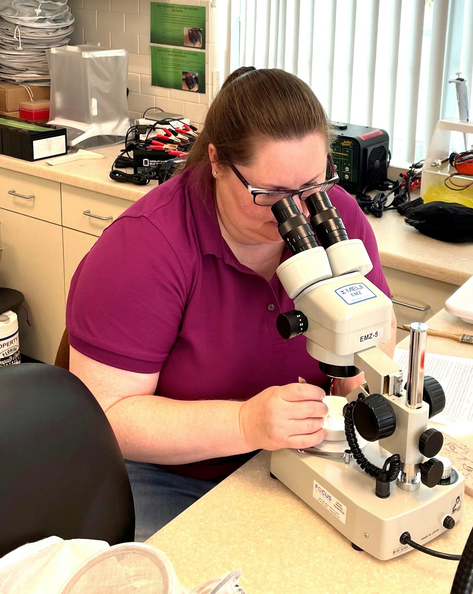 A person using a stereo microscope in a lab.