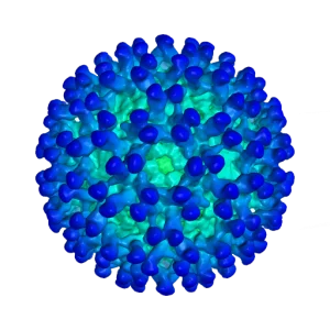 3D illustration of a virus-like particle with blue protein spikes on a greenish surface.