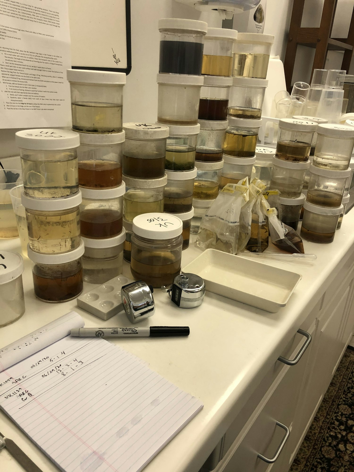A cluttered lab bench with numerous stacked containers holding various substances, a notebook, and lab equipment.
