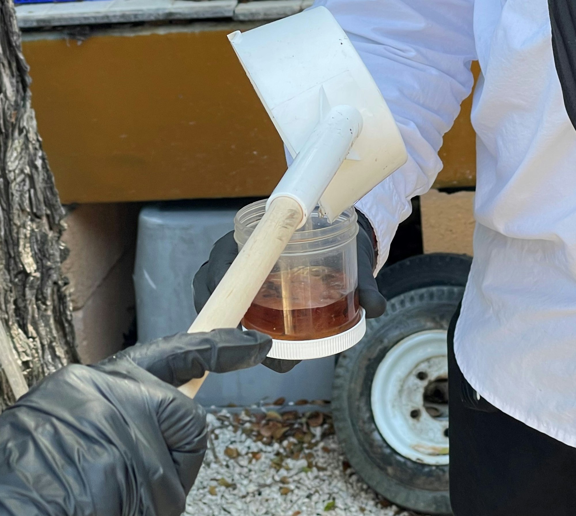 A person pours liquid from a white container into a jar, wearing black gloves outdoors.