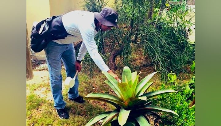 A person is watering a plant with a ladle, wearing a cap, and carrying a backpack.