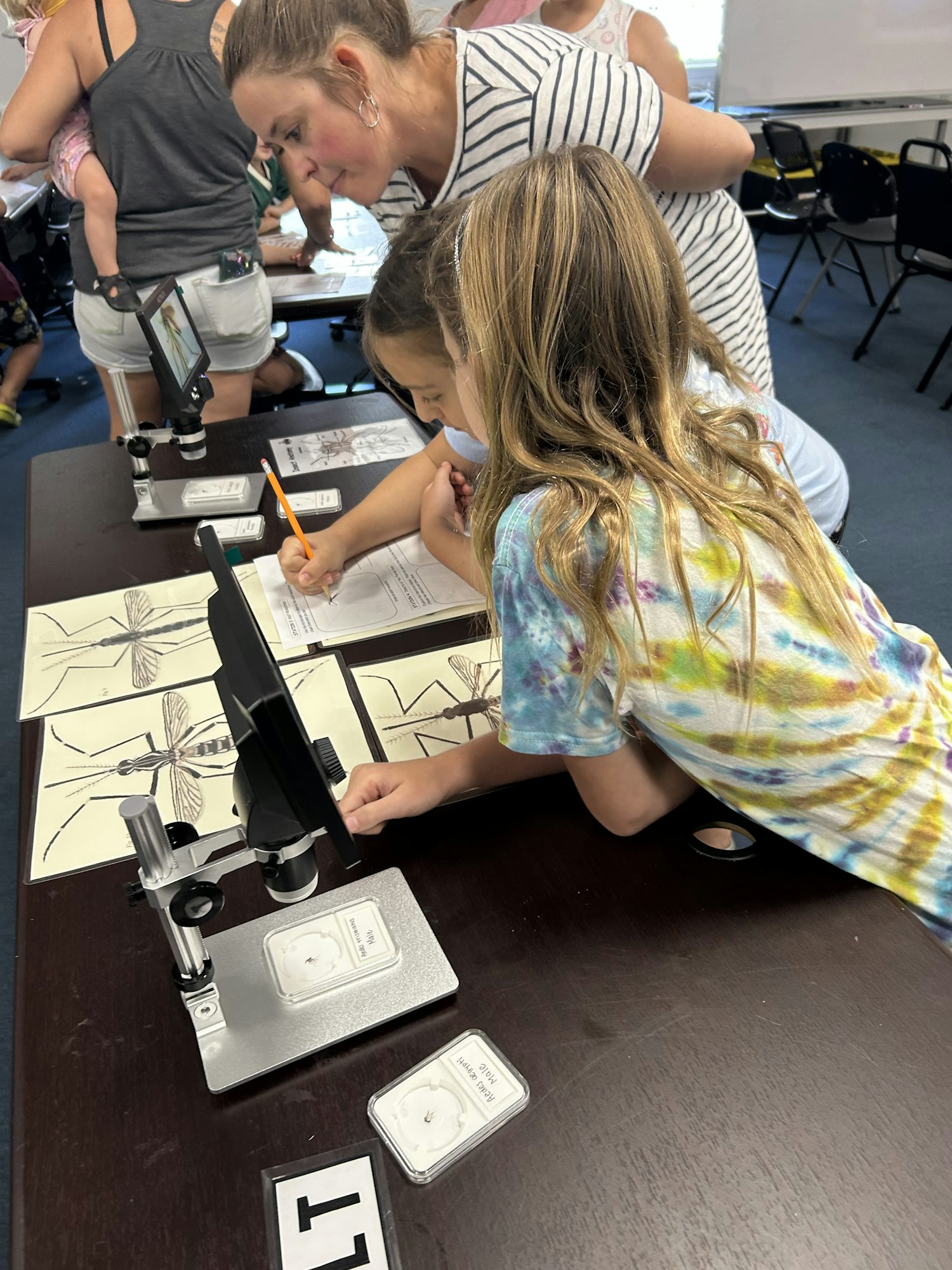 A classroom scene with kids and adults engaged in a science activity, examining specimens and taking notes.