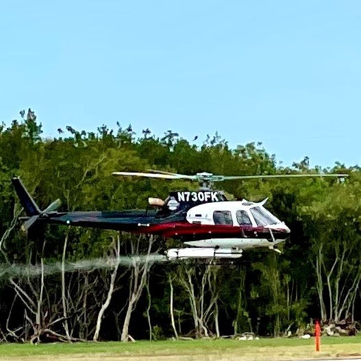 A helicopter landing near trees with motion blur on its rotors, indicating it's in operation.