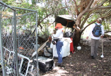 Two individuals wearing hard hats and reflective vests are inspecting a cluttered outdoor area with various items and foliage.