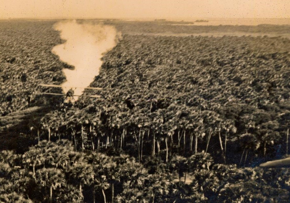 A plane flying over a dense forest with a visible trail of smoke behind it.
