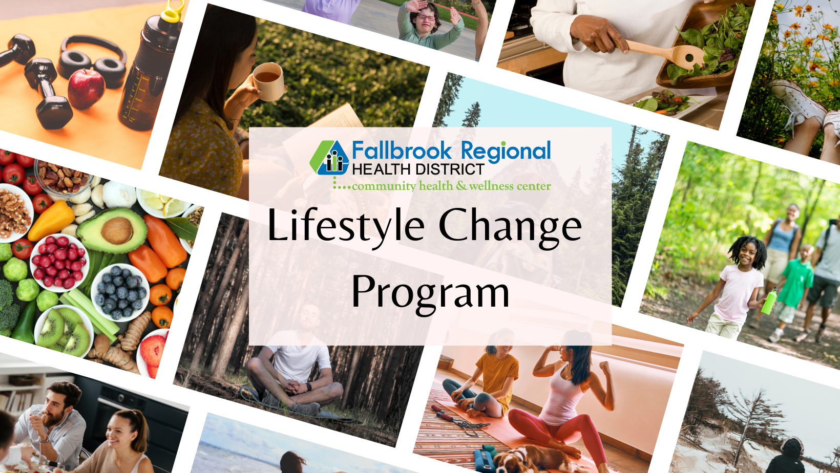 Lifestyle Change Program graphic