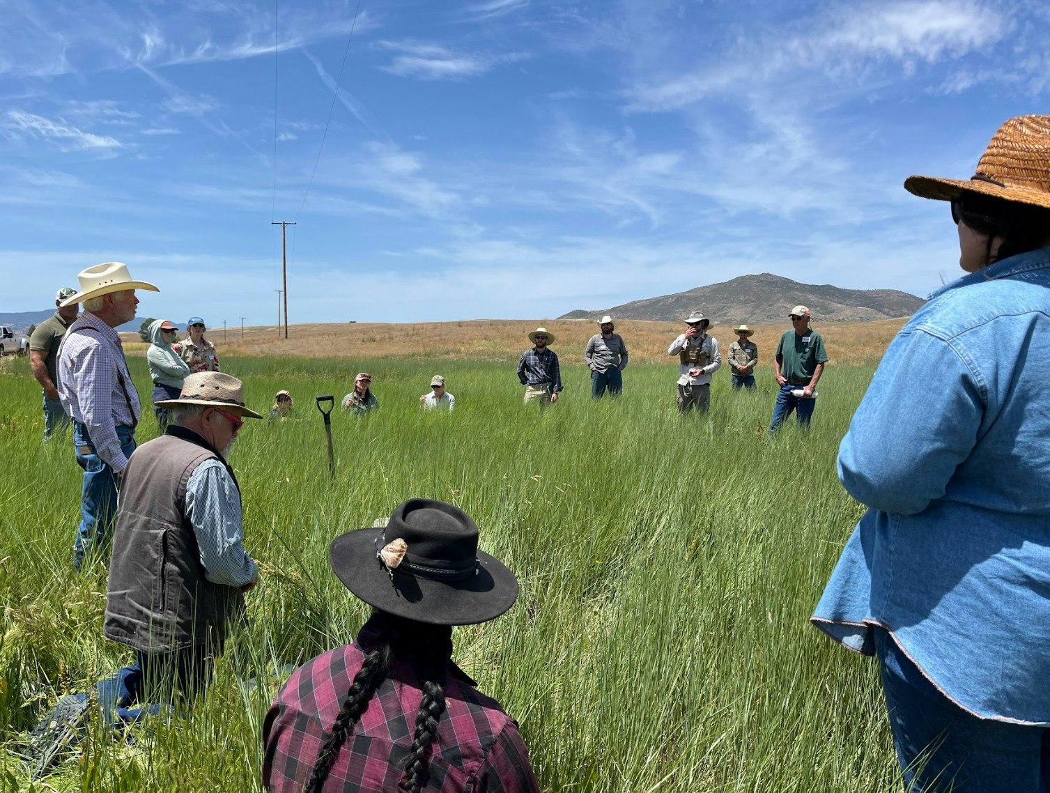 A group of people in hats gathered in a grassy field, possibly for an outdoor meeting or discussion.