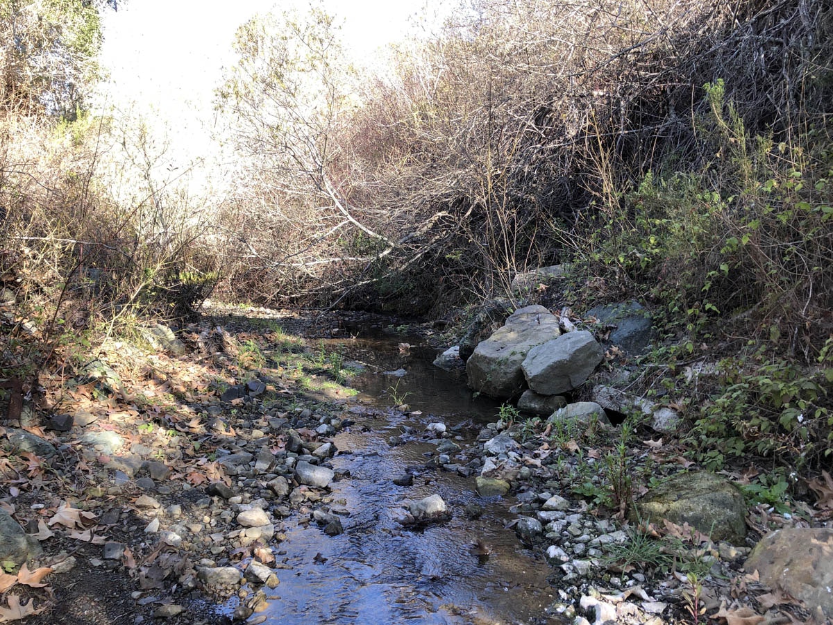 May contain: nature, outdoors, wilderness, creek, stream, water, plant, vegetation, rock, land, and jungle