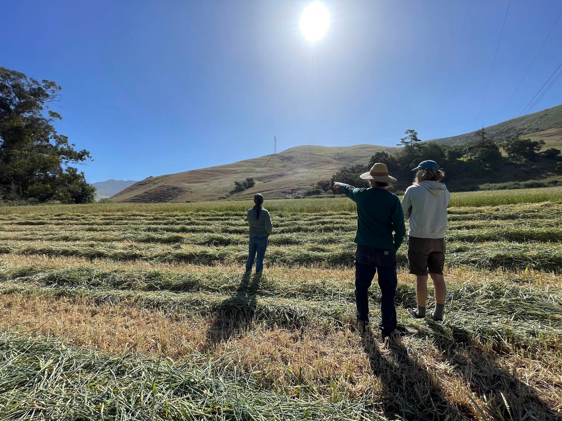 Three people standing in a field, with one pointing towards hilly terrain under a bright sun.