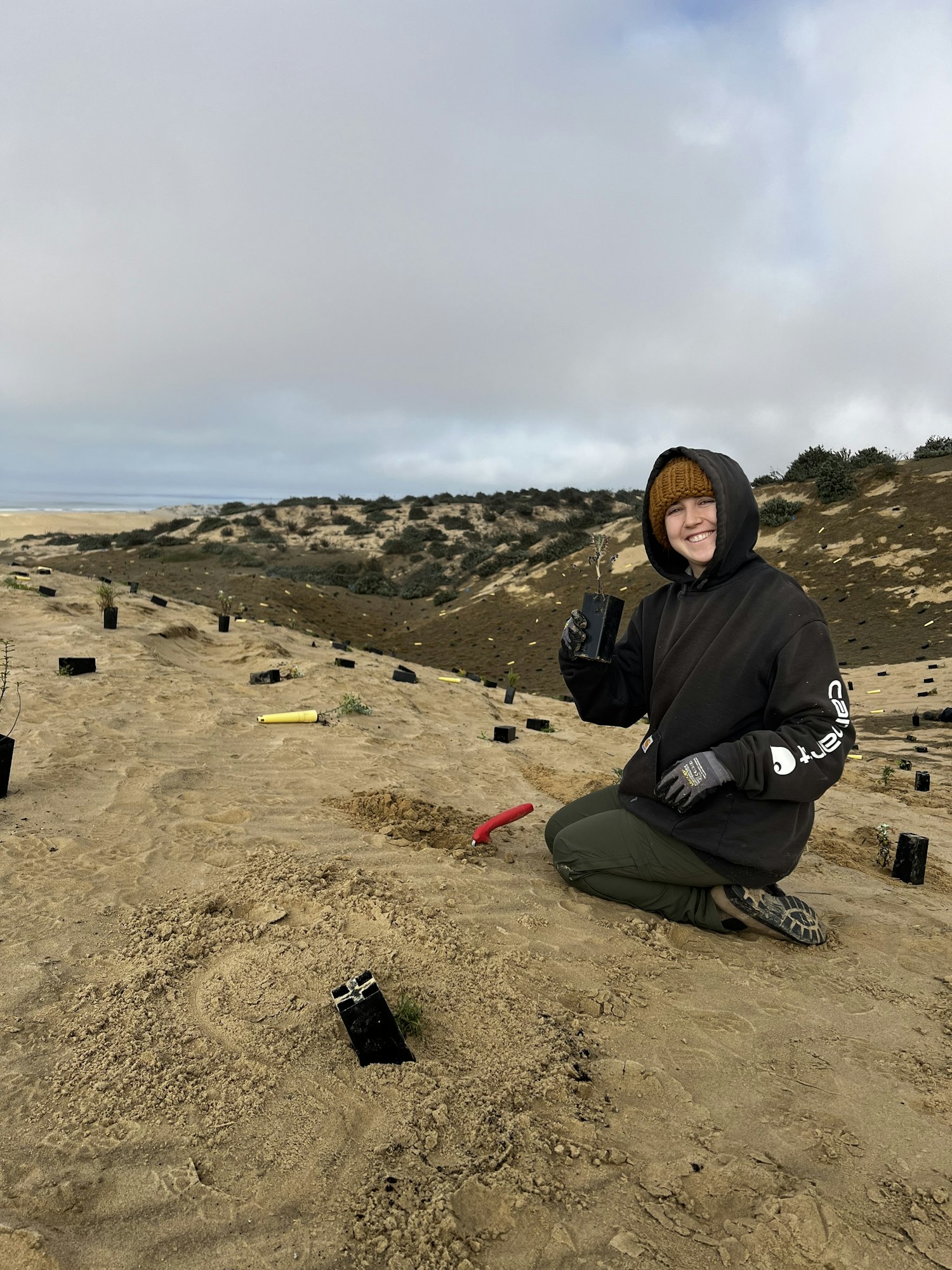 A person kneels on sandy terrain with planting tools and containers around, suggesting an outdoor planting activity.