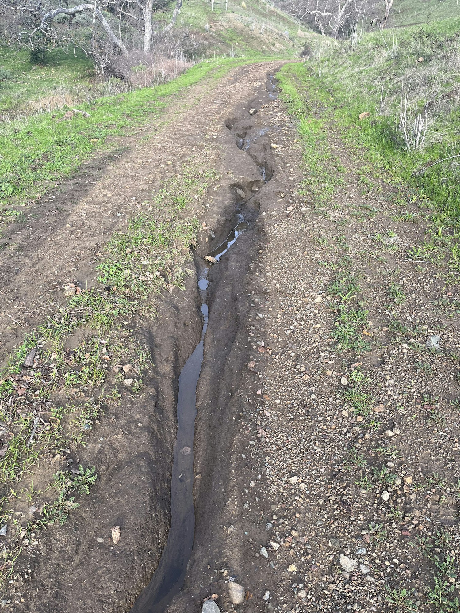 A narrow, water-filled channel runs through a dirt path surrounded by green grass and scattered rocks in a natural landscape.