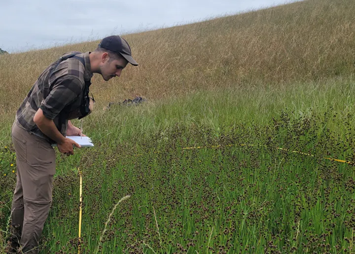Person in an outdoor field, examining the vegetation with paper and pen in hand.
