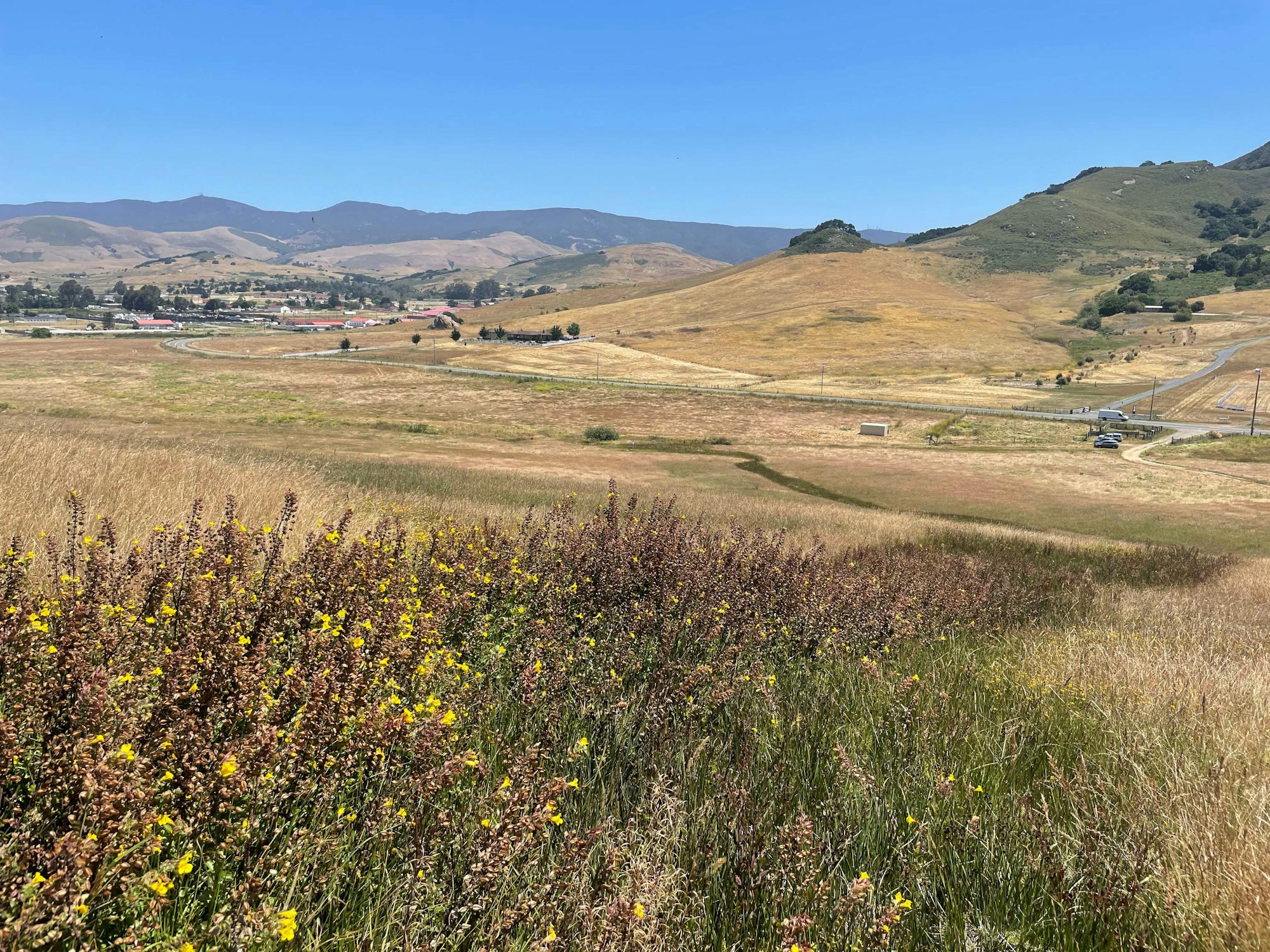A panoramic landscape with grassy hills, scattered wildflowers, a road, and a distant view of mountains and a small settlement.