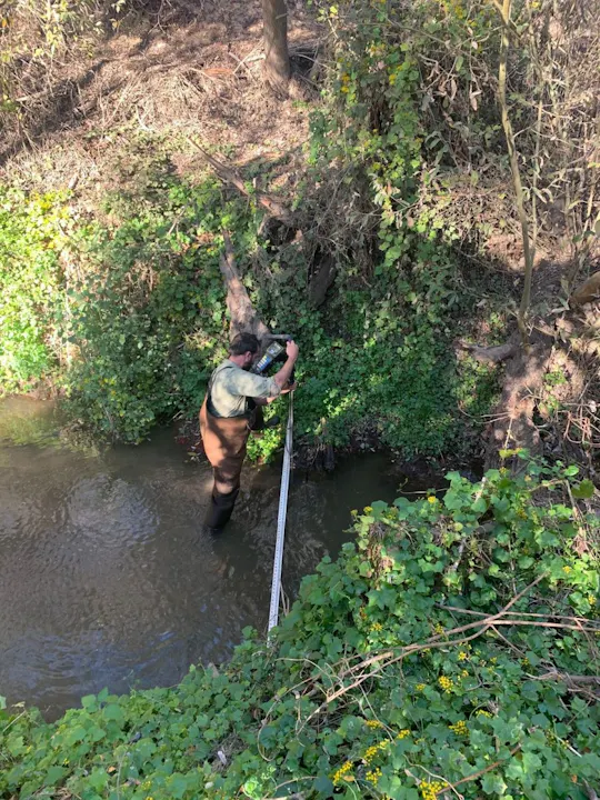 A person in waders stands in a shallow stream, using a measuring tool amidst green foliage and trees.