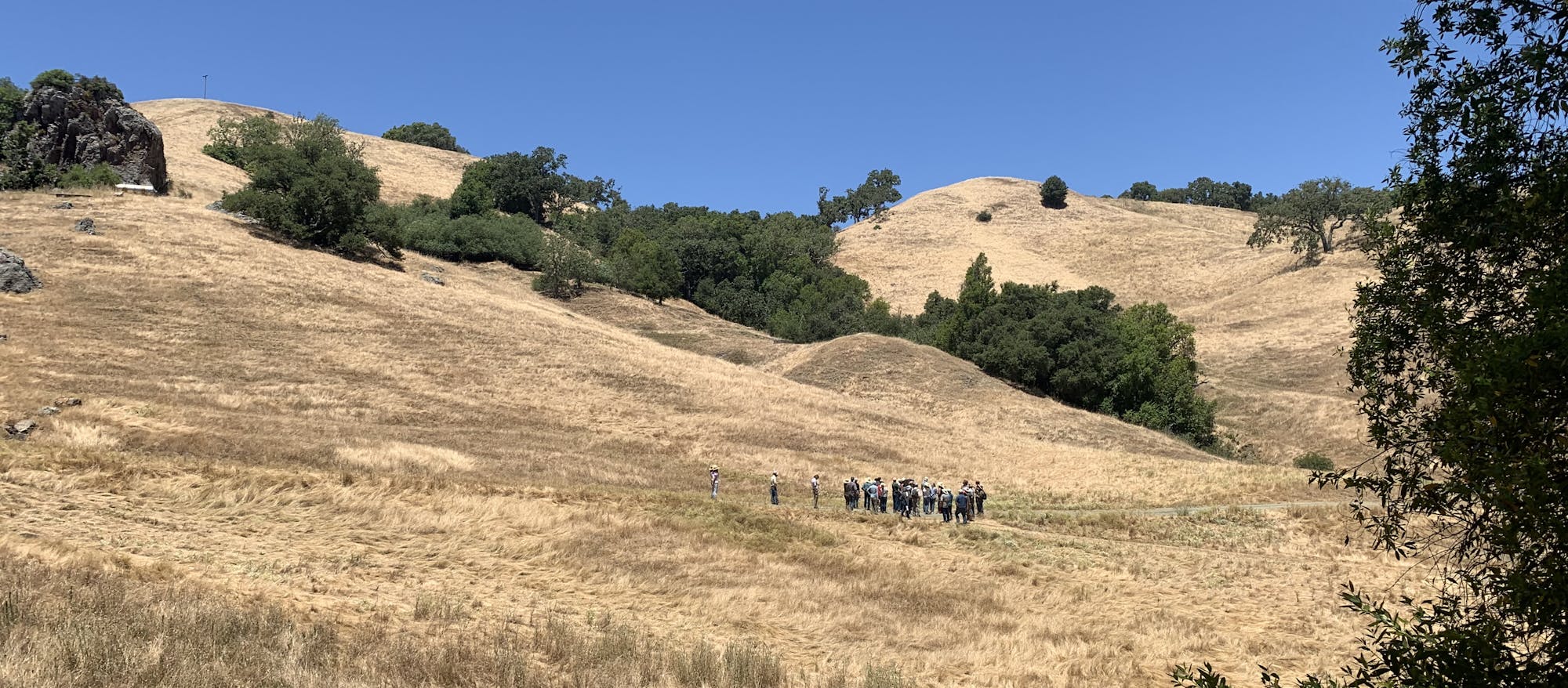 A group of people on a grassy hillside under a clear blue sky.