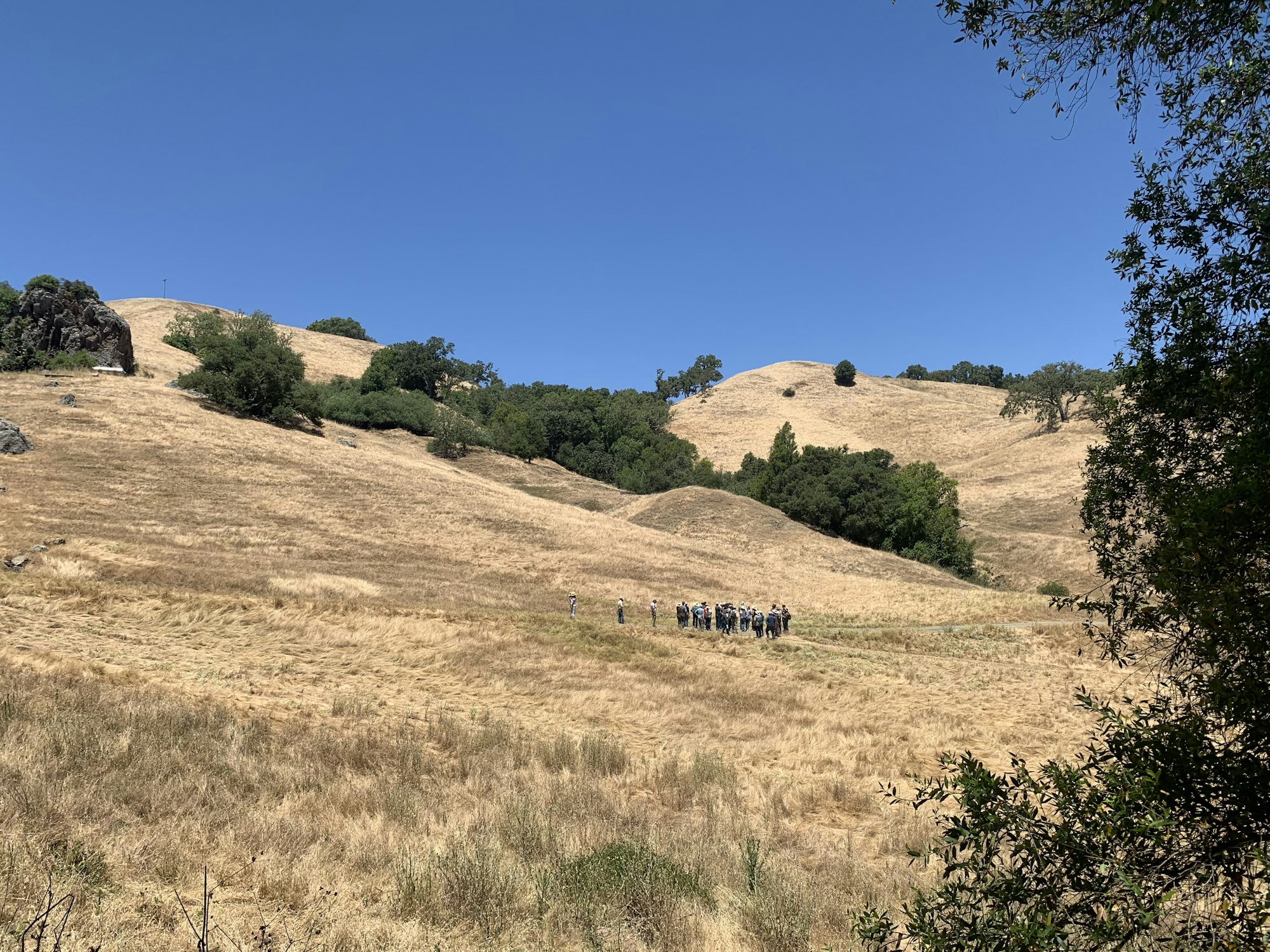 A group of people on a grassy hillside under a clear blue sky.