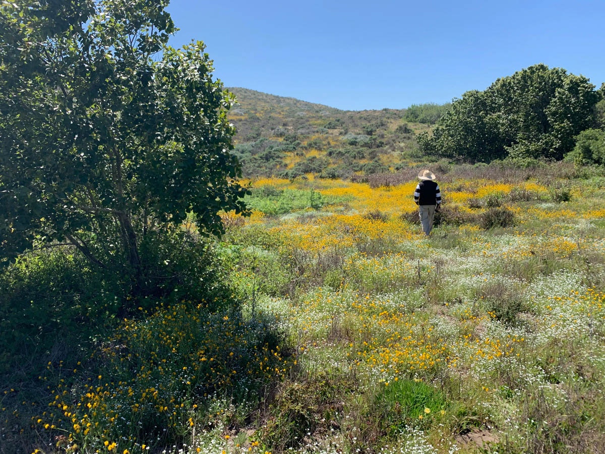 May contain: plant, vegetation, bag, backpack, person, and backpacking