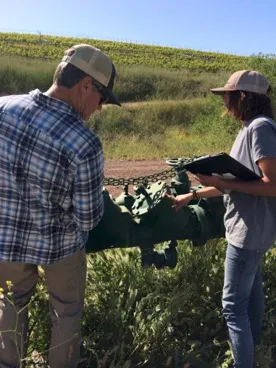 Two people examining a large green valve in a field, with vineyards in the background on a clear day.