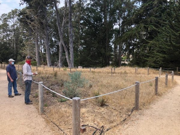 May contain: plant, vegetation, person, nature, outdoors, yard, clothing, hat, land, tree, woodland, footwear, shoe, countryside, farm, field, pasture, rural, walking, grass, fence, and grove