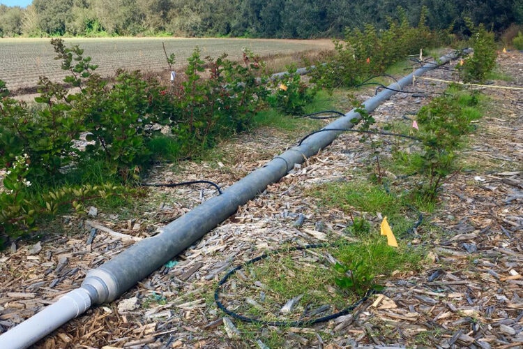 May contain: pipeline