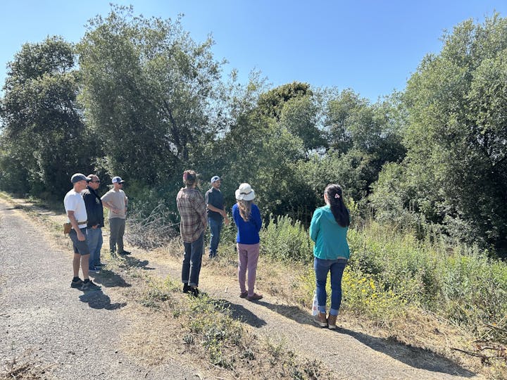 A group of people stand on a path, looking at a lush, green, tree-lined area.
