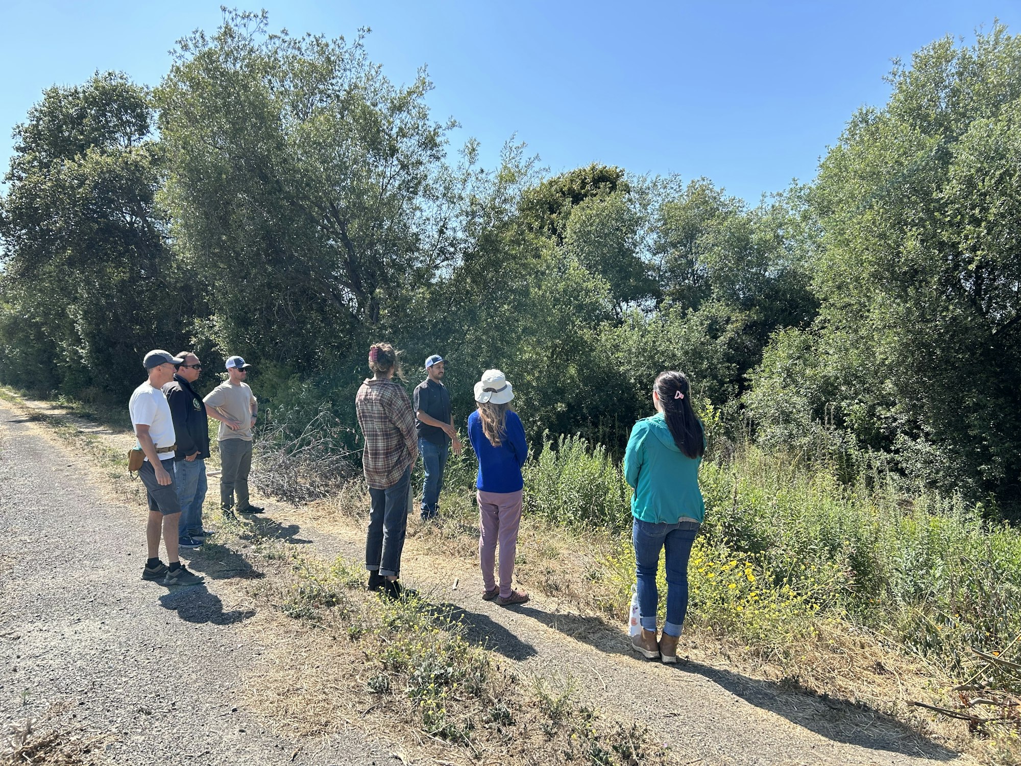 A group of people stand on a path, looking at a lush, green, tree-lined area.
