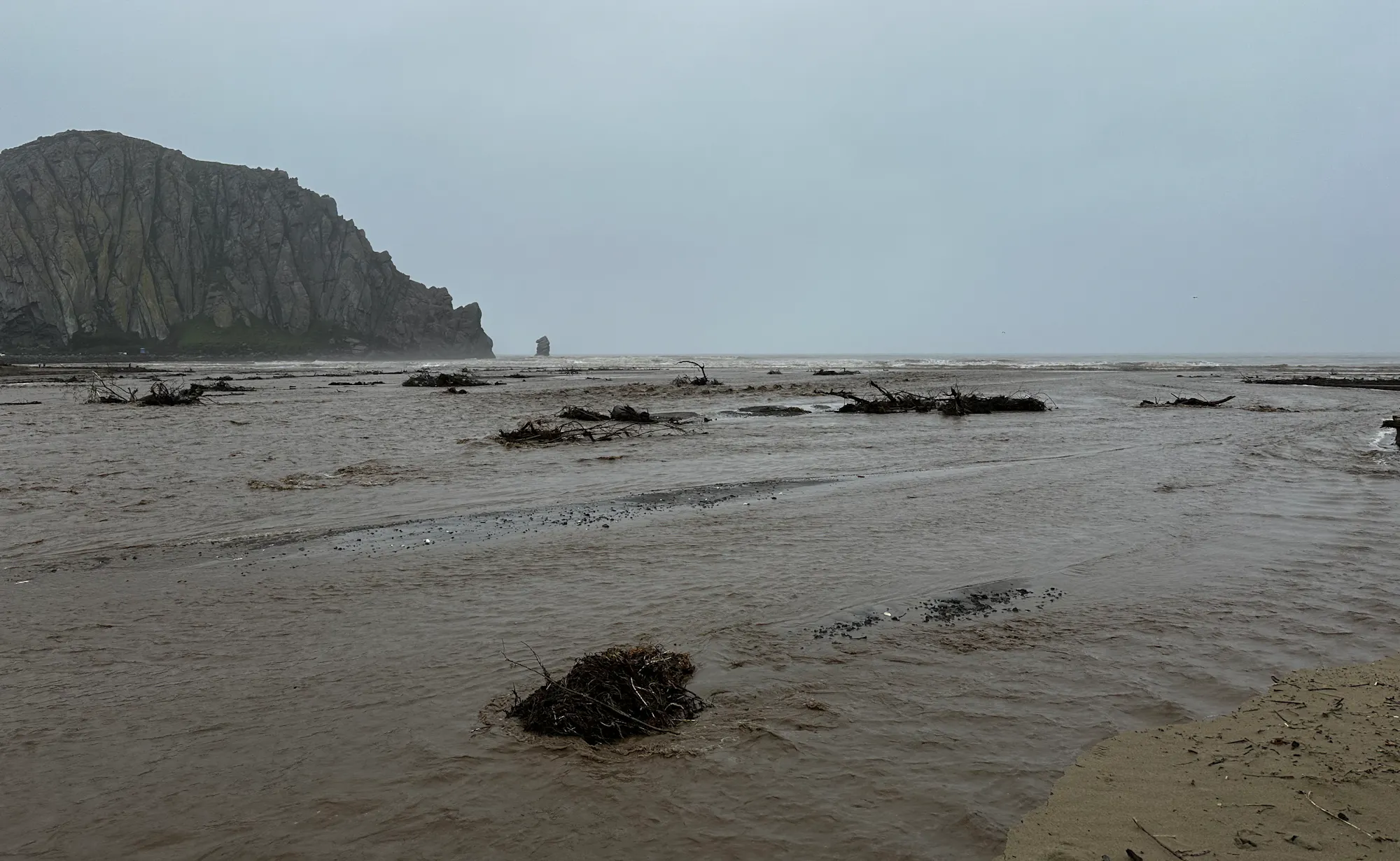 Flooded beach with debris and a rocky cliff in the background. Overcast sky.