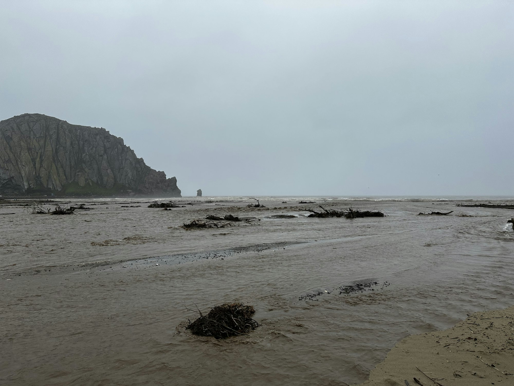 Flooded beach with debris and a rocky cliff in the background. Overcast sky.