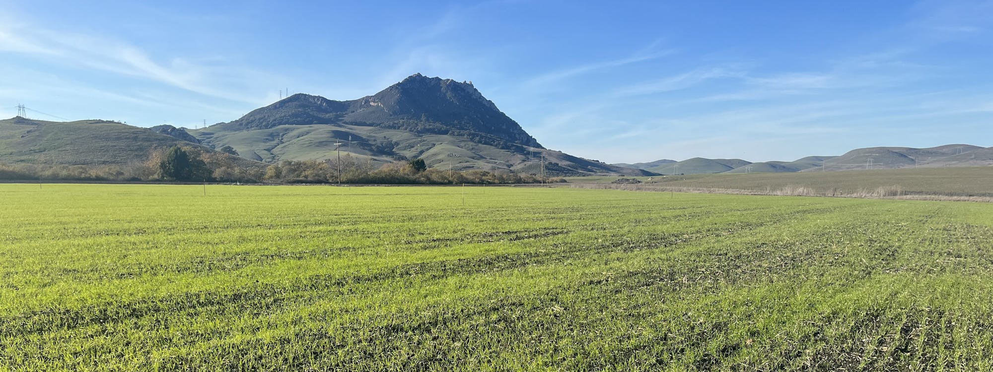 Healthy Soils Program fields.