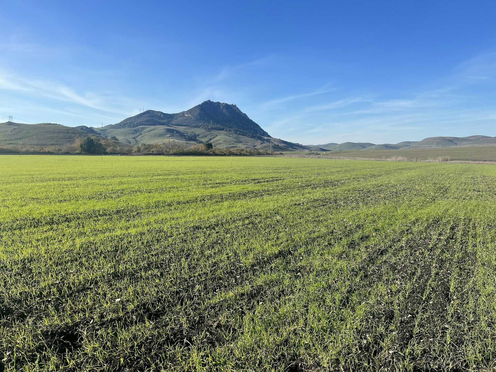 Healthy Soils Program fields.
