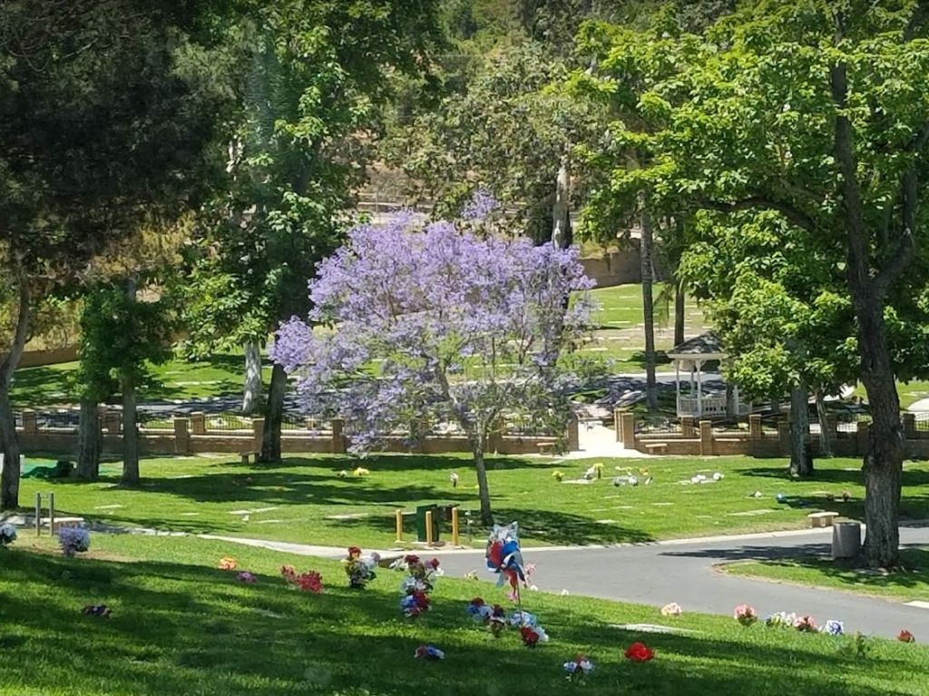 May contain: plant, grass, park, lawn, outdoors, vegetation, land, tree, nature, woodland, forest, yard, grove, person, and human