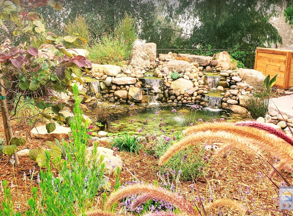 A photogenic garden scene with water