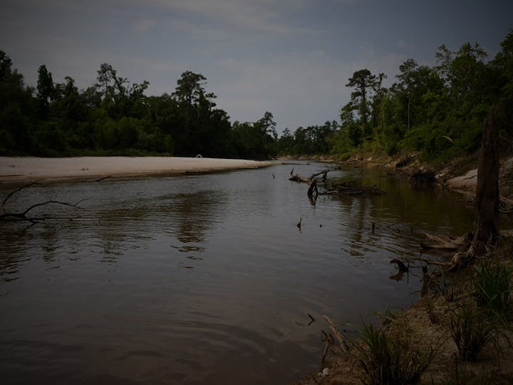 May contain: land, nature, outdoors, plant, vegetation, pond, water, tree, wilderness, swamp, woodland, rainforest, scenery, and lake