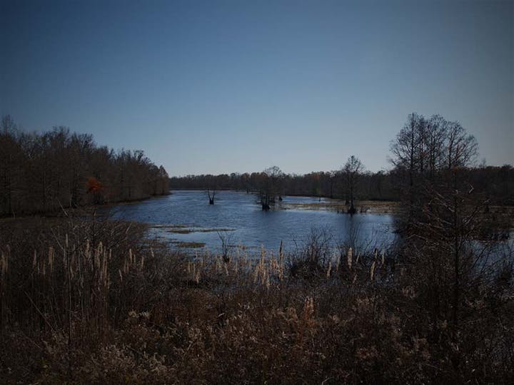 May contain: nature, outdoors, pond, water, land, reservoir, and lake