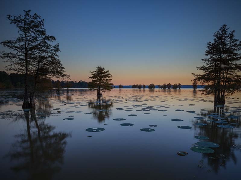 May contain: nature, outdoors, scenery, land, water, sky, swamp, and lake