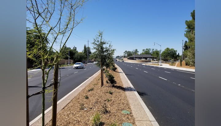 May contain: road, freeway, highway, car, transportation, vehicle, tarmac, city, plant, and tree