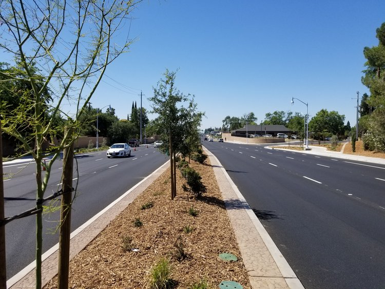 Tree-lined street with multiple lanes, sparse traffic, clear skies, and a pedestrian path.