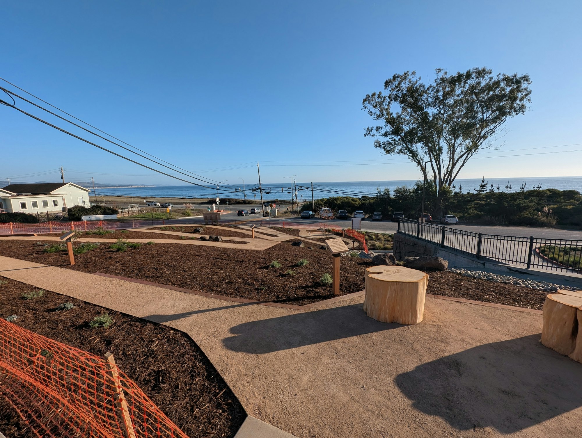 A coastal landscape with a pathway, tree stumps, and distant ocean view under a clear blue sky.