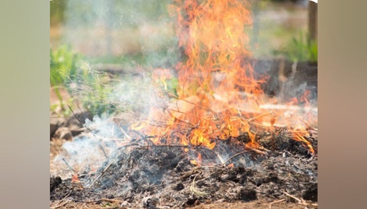 A pile of dry branches and leaves burning with bright flames and smoke.