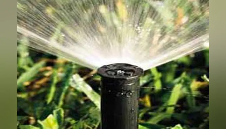 A sprinkler spraying water onto green grass, providing irrigation for the lawn or garden.
