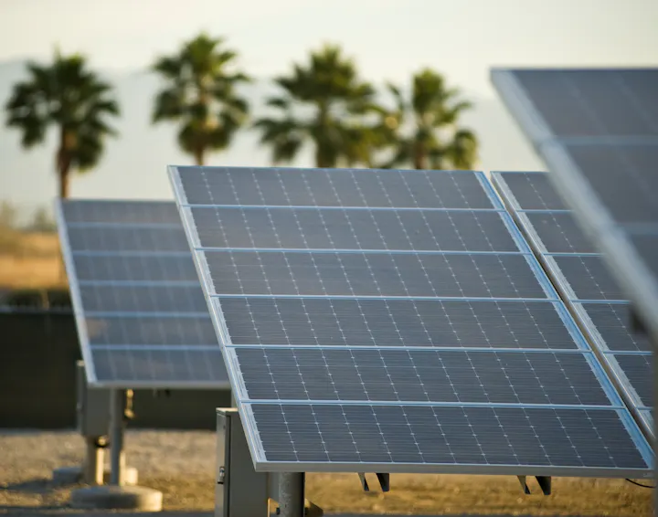 The image shows solar panels in a field with palm trees in the background, indicating a sunny environment for renewable energy.